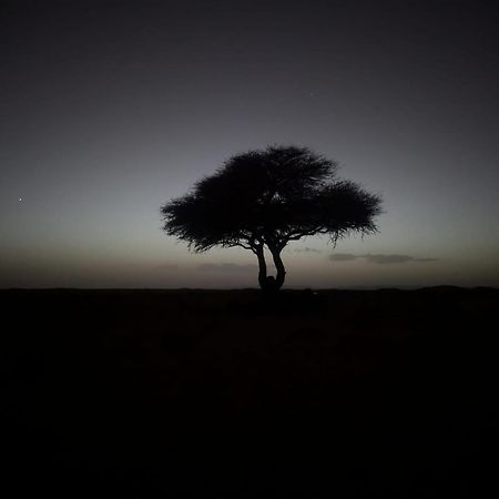 Mhamid Sahara Camp - Mhamid El Ghizlane Hotel Мхамид Екстериор снимка